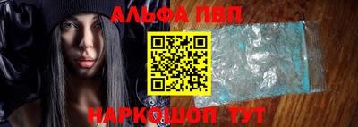 гашик Кингисепп