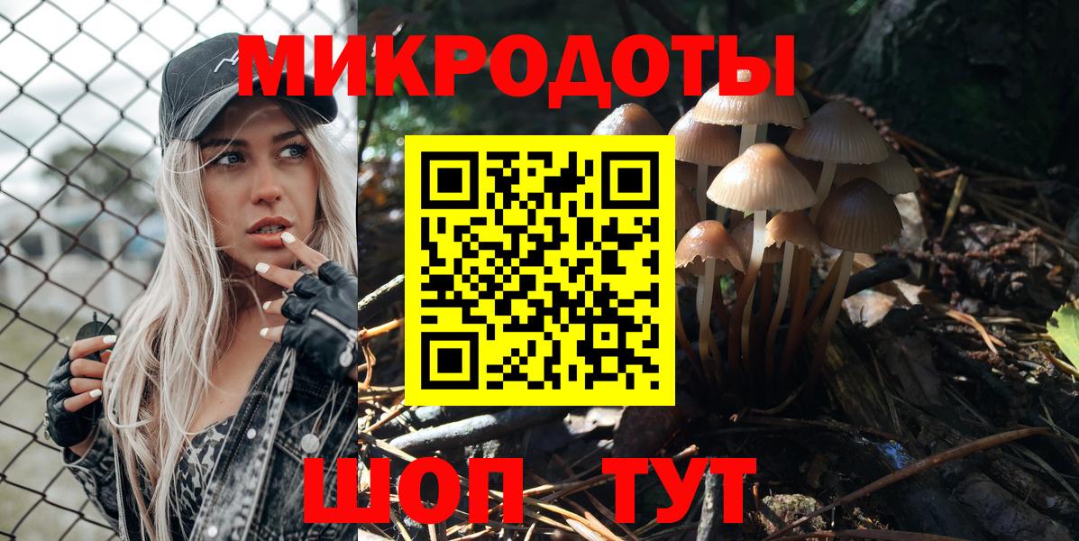 Псилоцибиновые грибы Psilocybine cubensis Краснодар