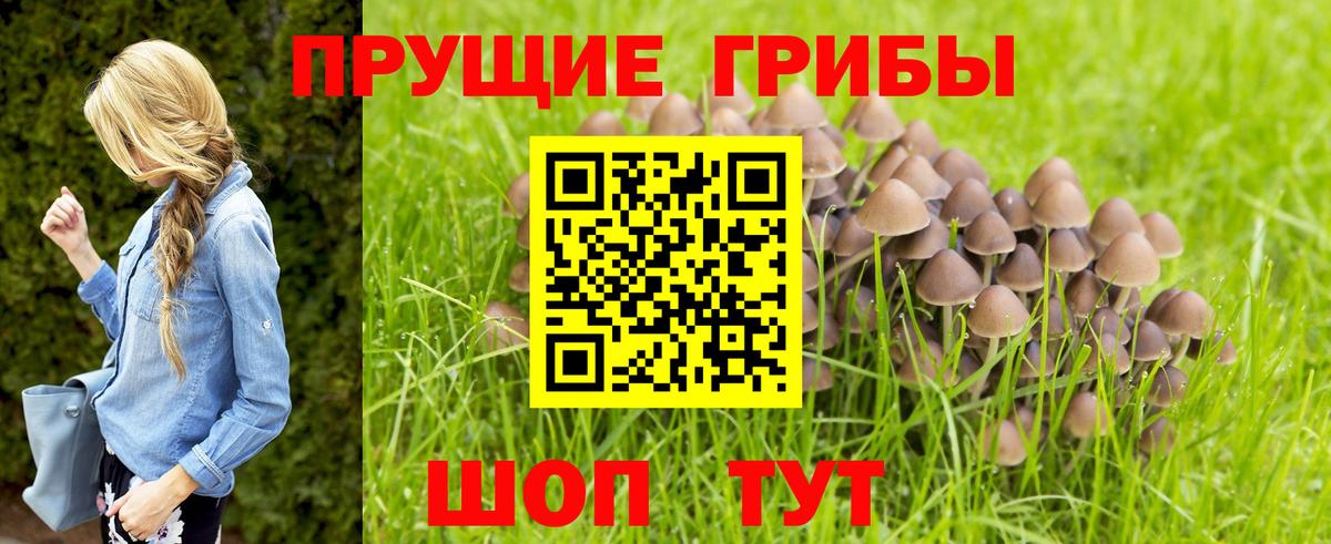 Краснодар  Галлюциногенные грибы мухоморы  Вход с VPN 